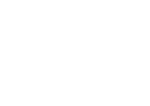 IUT La-Roche-sur-Yon