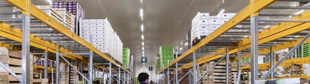 Formation BTS Gestion des Transports et Logistique GTLA - ISFFEL Bretagne